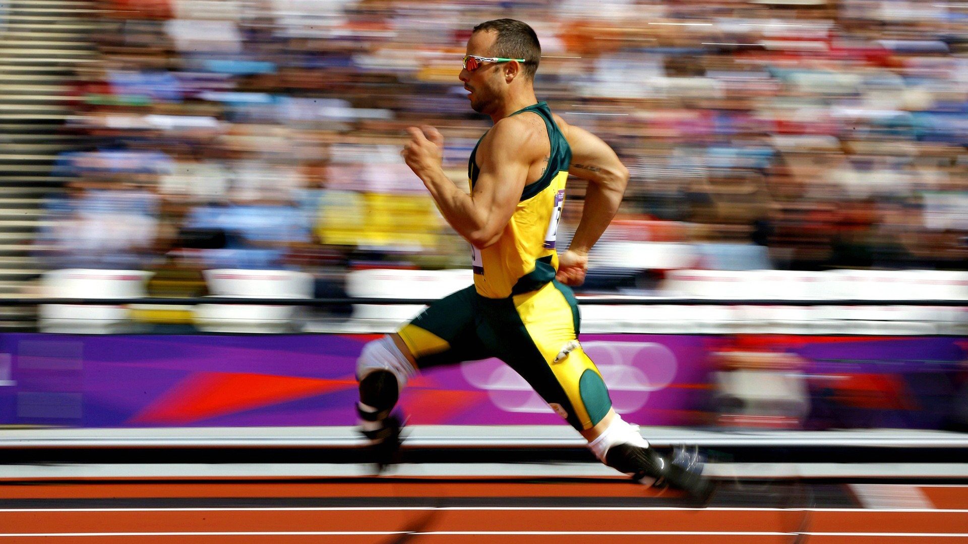 比利时游泳选手在女子200米自由泳比赛中获得第六名,里约200米自由泳决赛