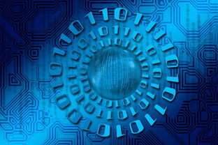 开云网站-大数据应用助力训练科学管理，大数据在训练管理中的应用